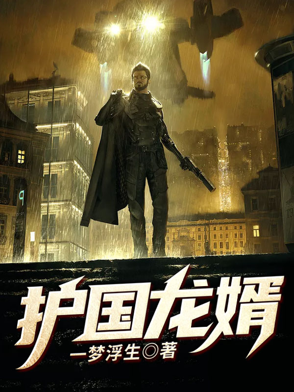 护国龙婿萧战